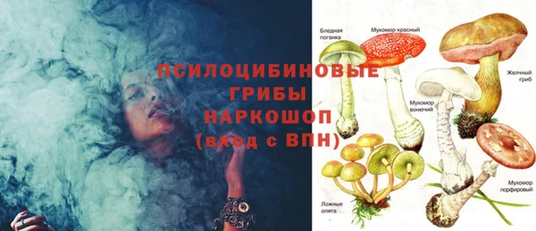 индика Алексеевка