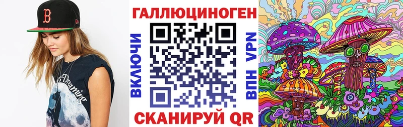 Купить где Истра Псилоцибиновые грибы Psilocybine cubensis